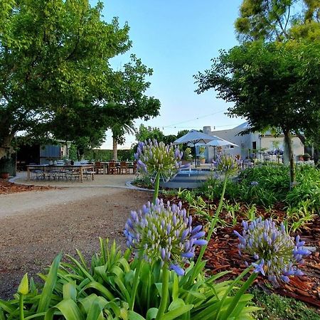Picardiplace Rawsonville Exterior foto